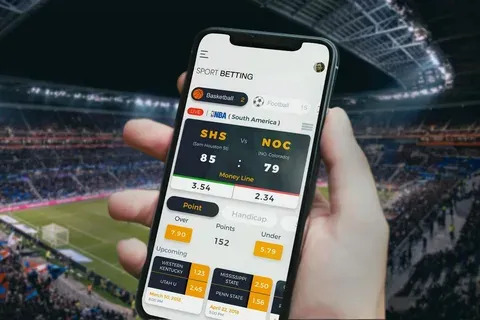 6 com bet 