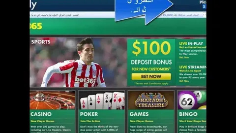 win bet casino 